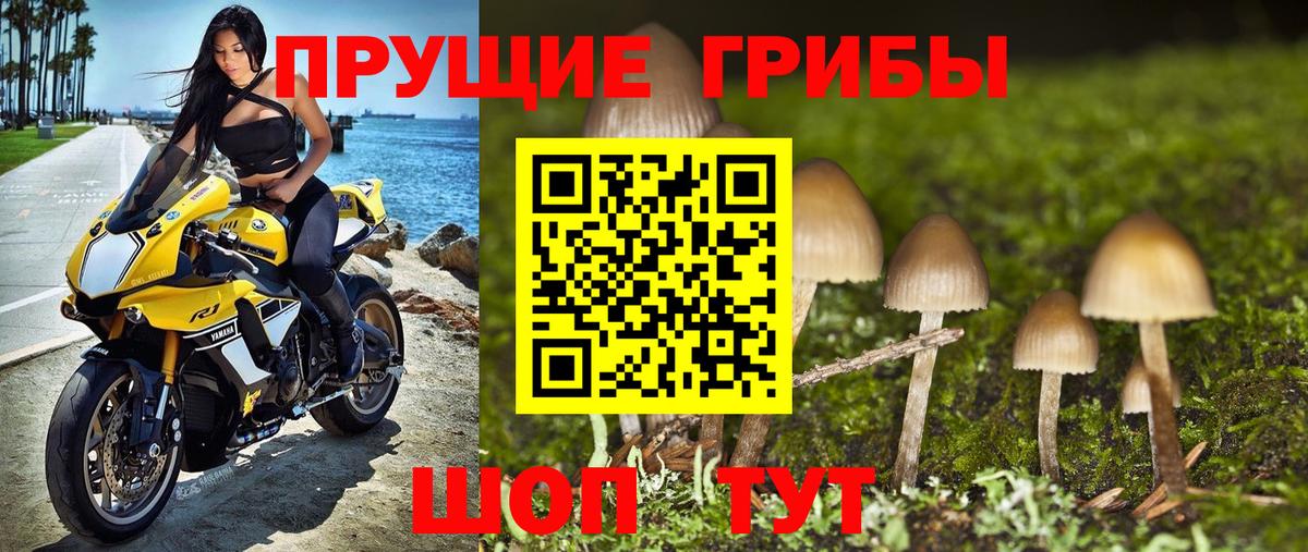 Псилоцибиновые грибы MAGIC MUSHROOMS  Галлюциногенные грибы мухоморы  Королёв  Вход с VPN 