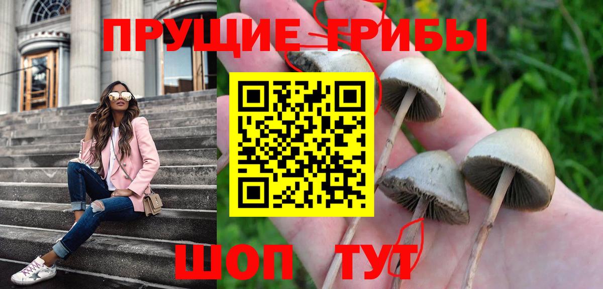 Галлюциногенные грибы Magic Shrooms Королёв