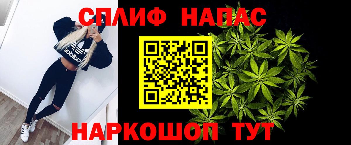 Марихуана сатива Королёв